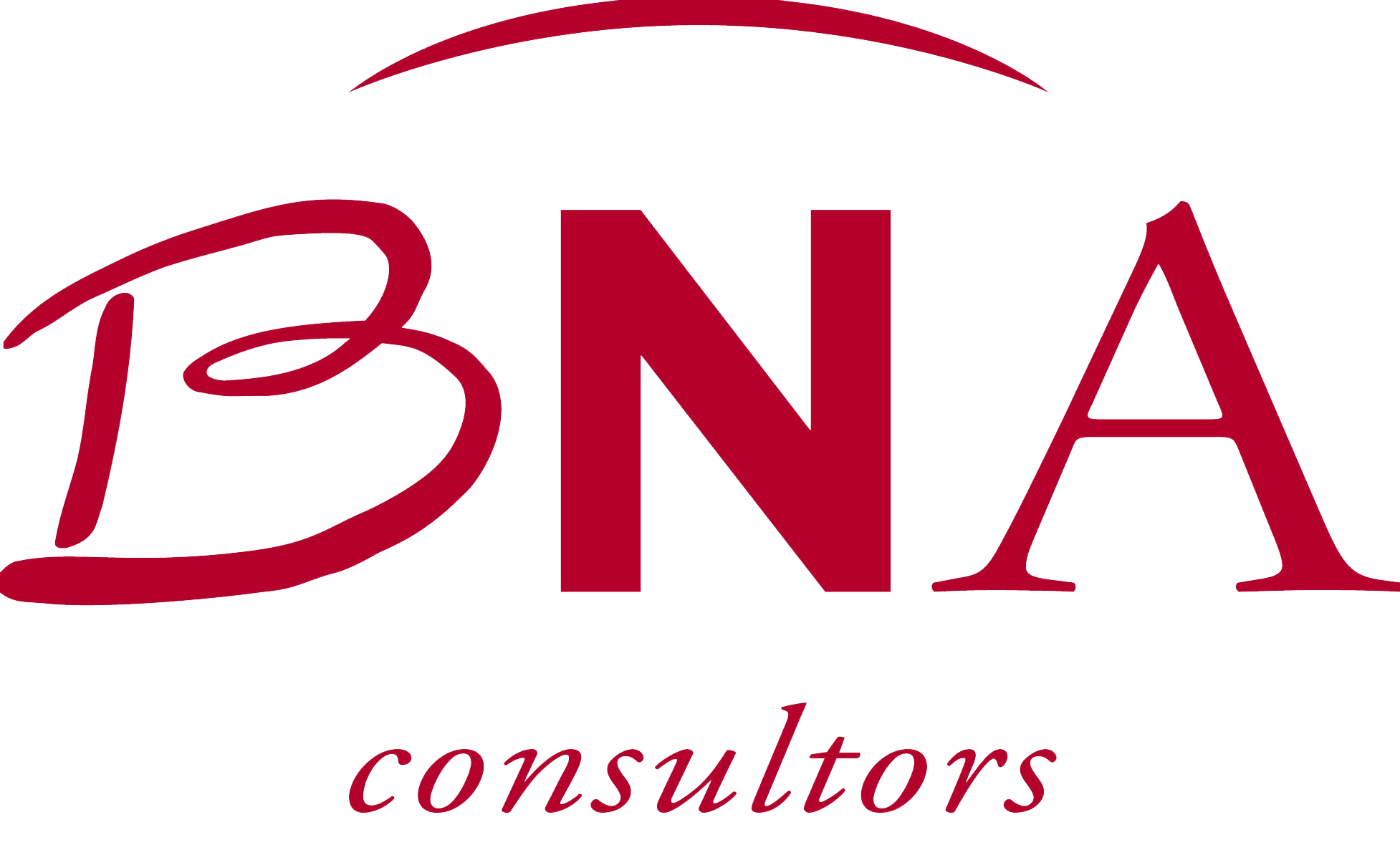 BNA Consultors